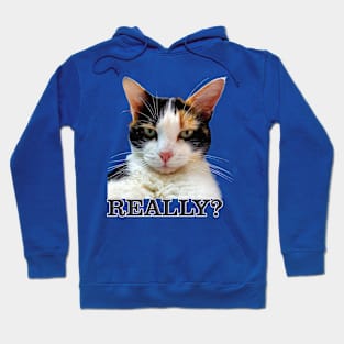 Cute Calico Cat with Attitude – Really? Hoodie